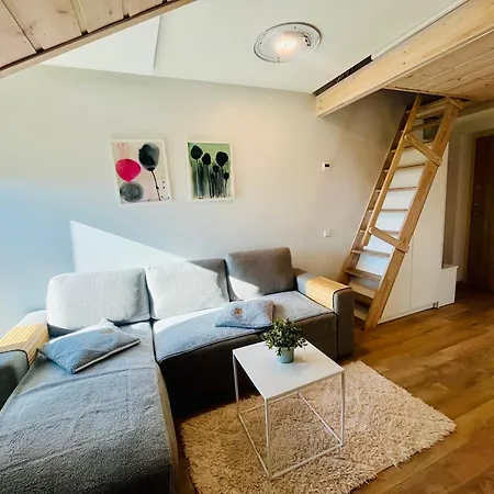 Διαμέρισμα Apartamentai Su Terasa Παλάγκα