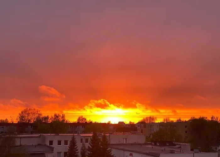 Apartamentai Su Terasa Παλάγκα